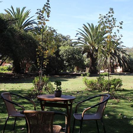 El Arbol Eco Lodge La Serena Exterior photo